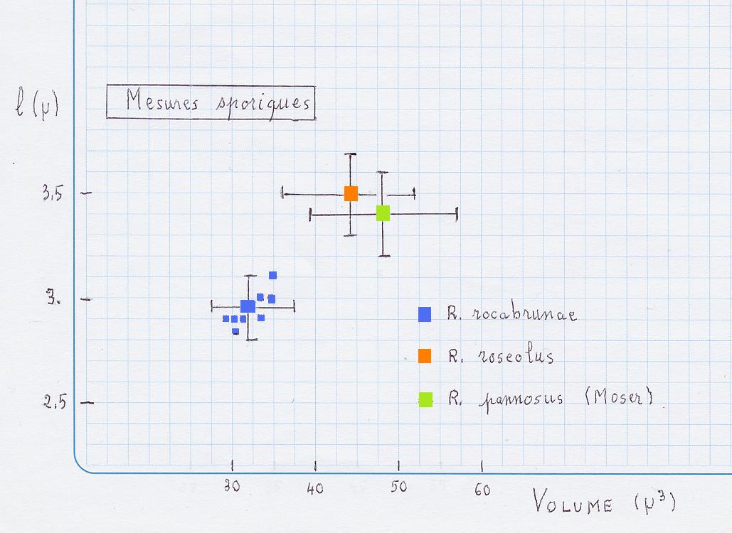 mesures sporale